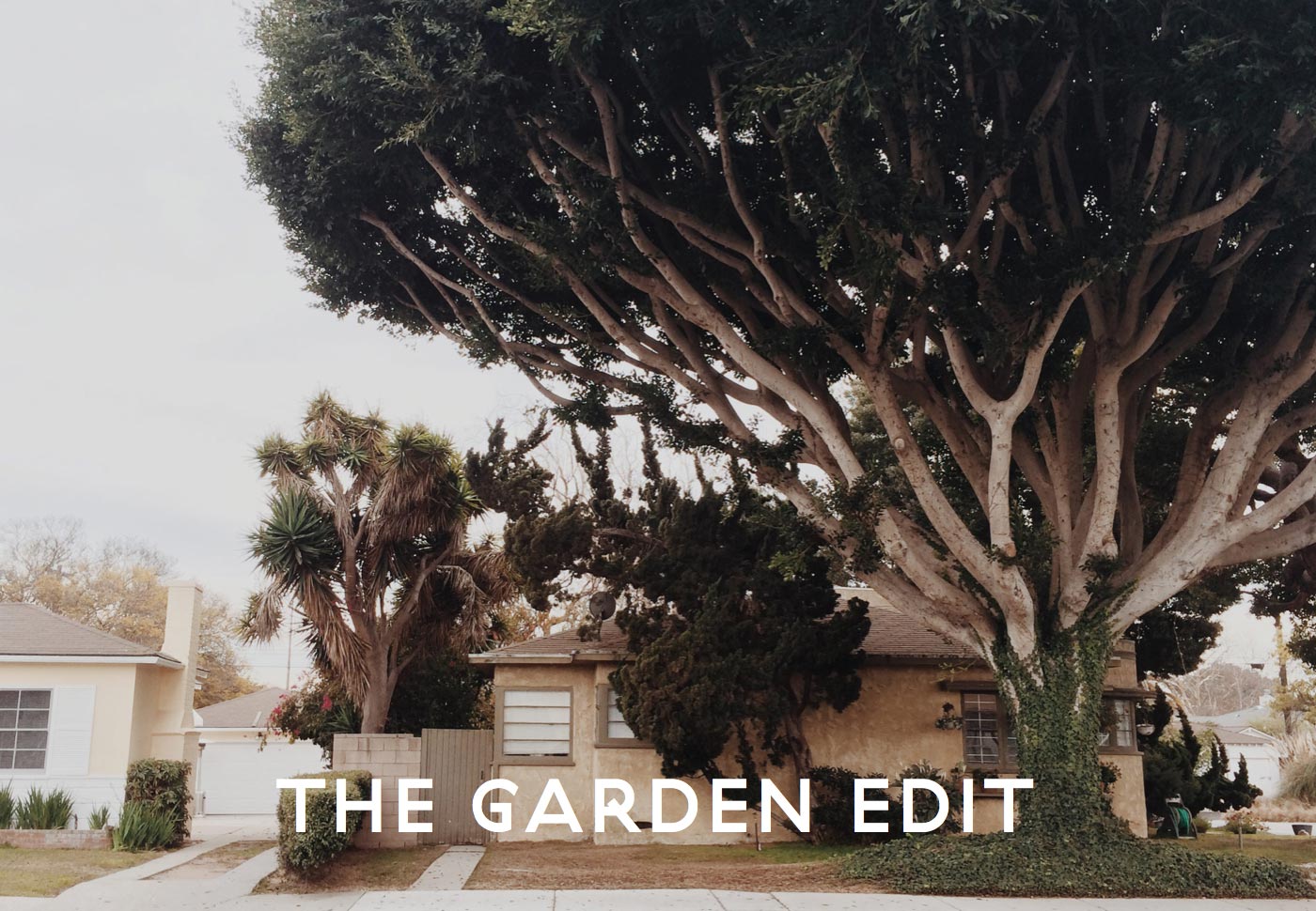 el jardín editar