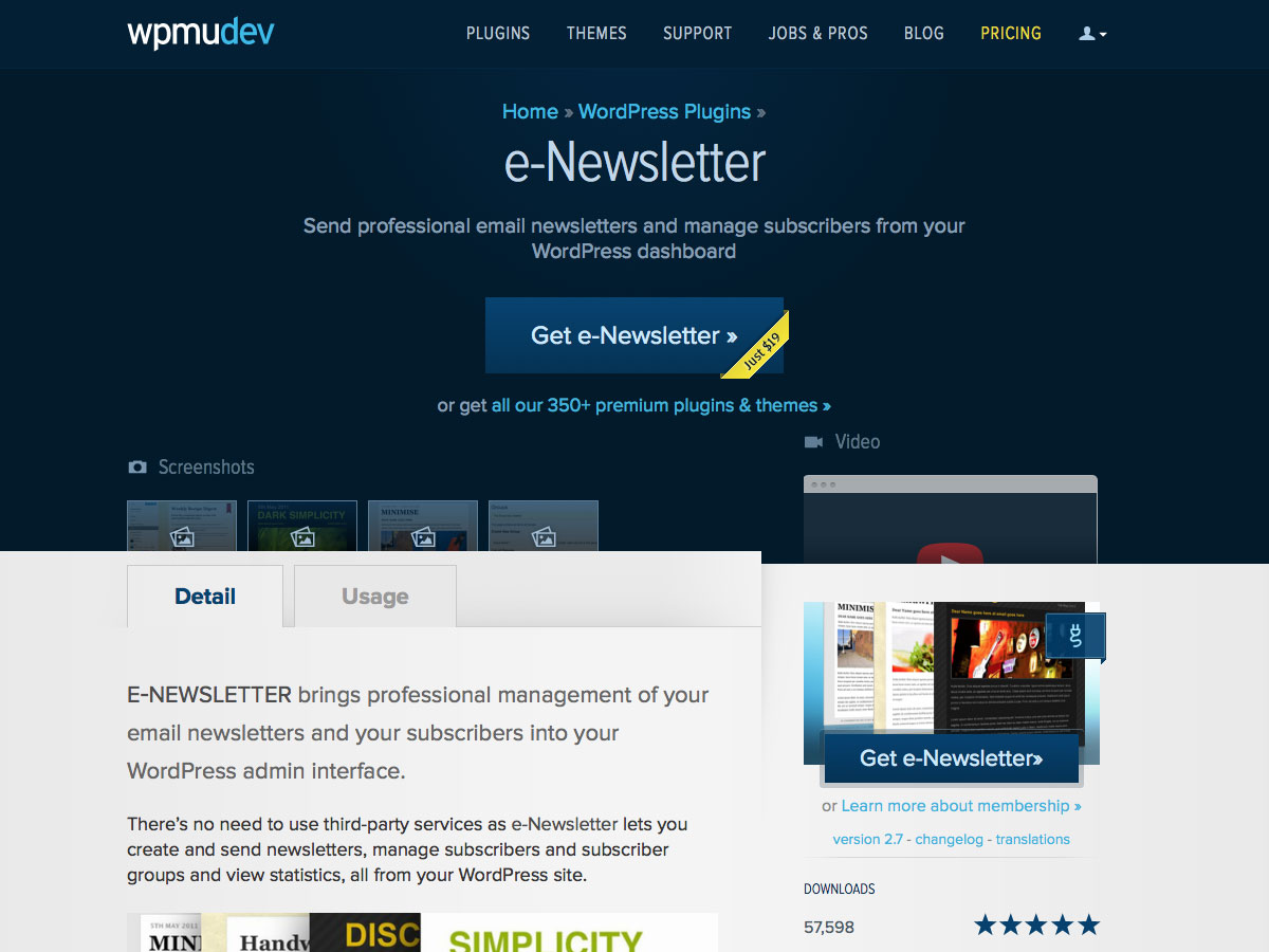 e-Newsletter WordPress plugin