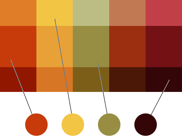 paso 4: selecciona tus colores favoritos del resultado