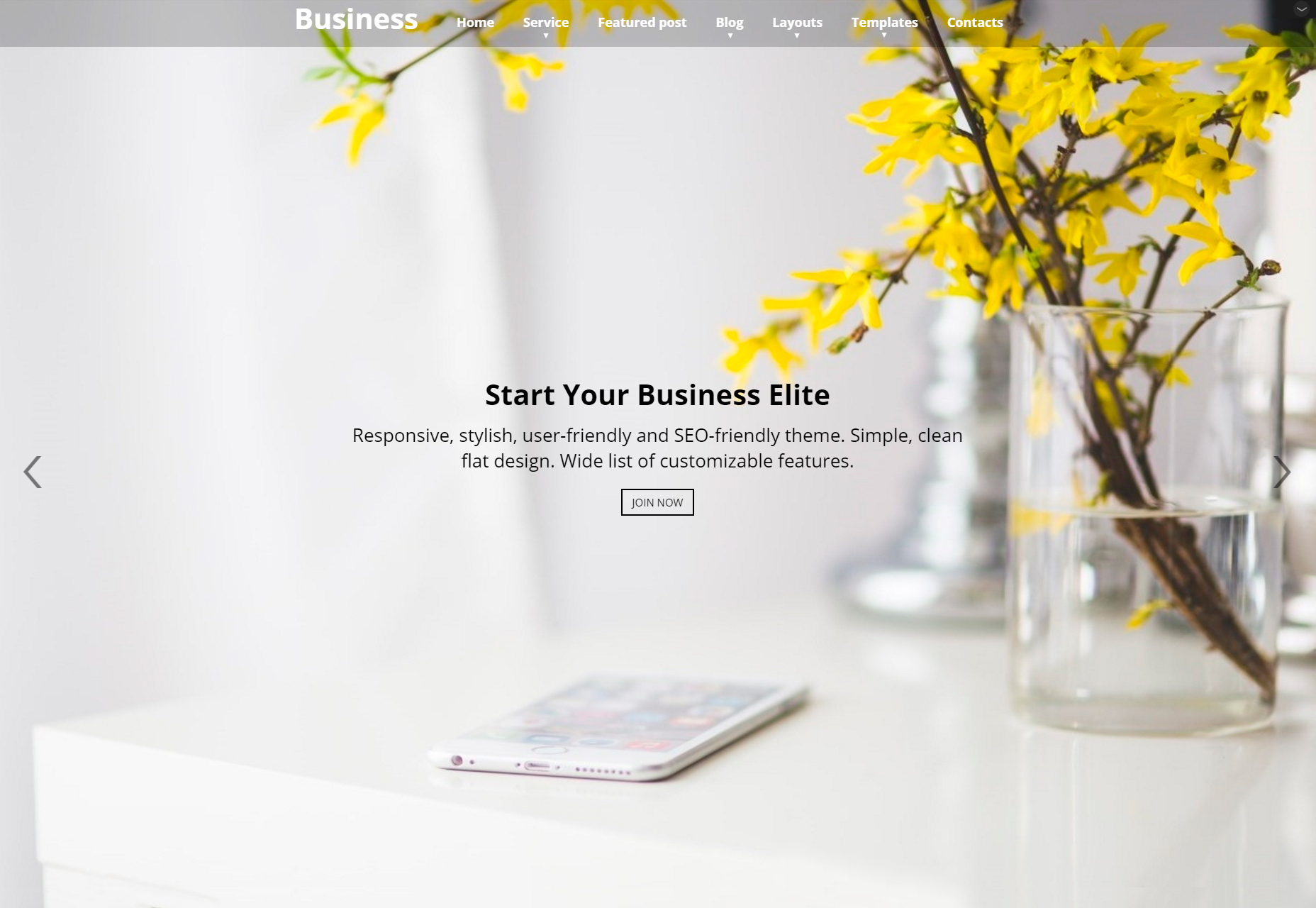 Business Elite: Clean Parallax Tema de WordPress