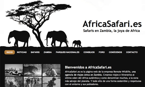 Safari na África