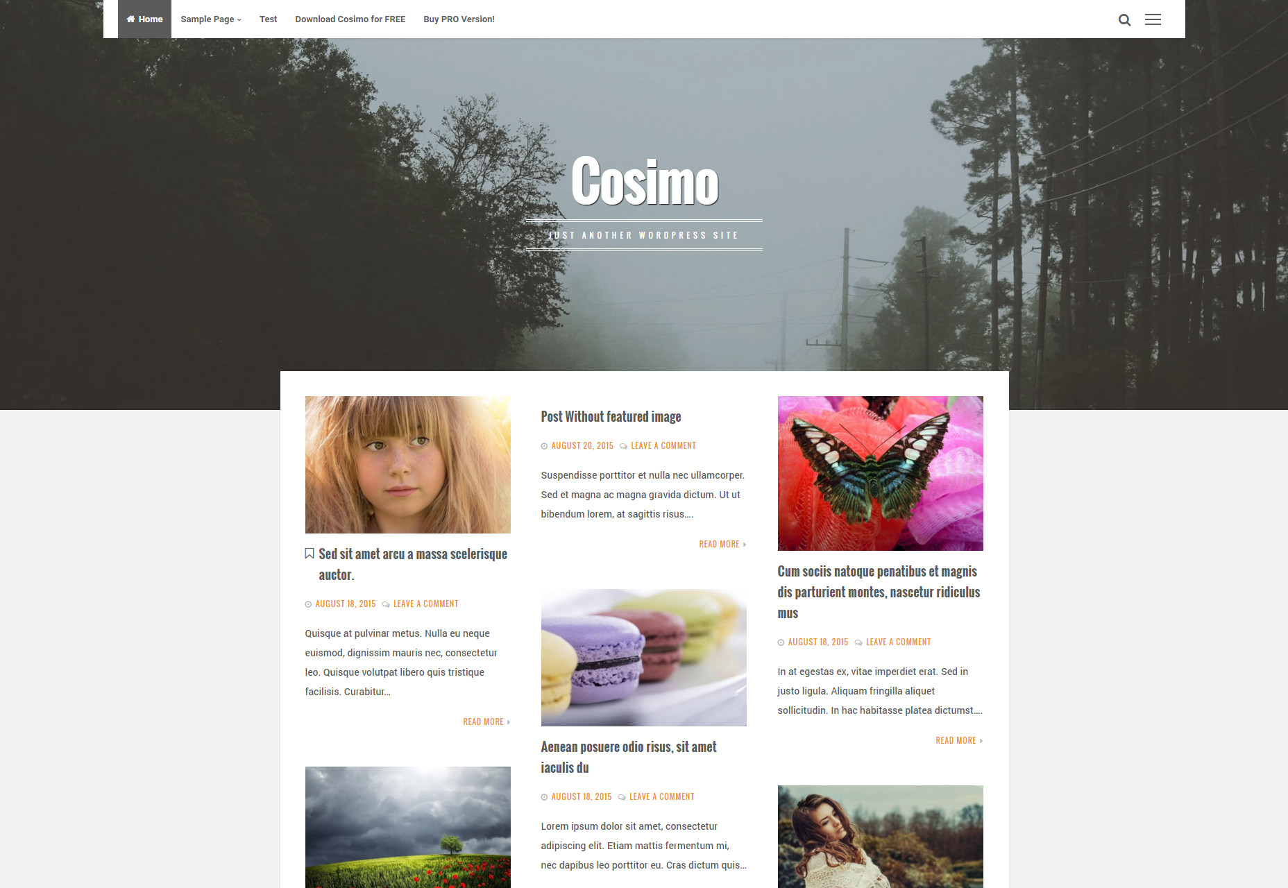 Cosimo: Blog a portfolio WordPress Téma