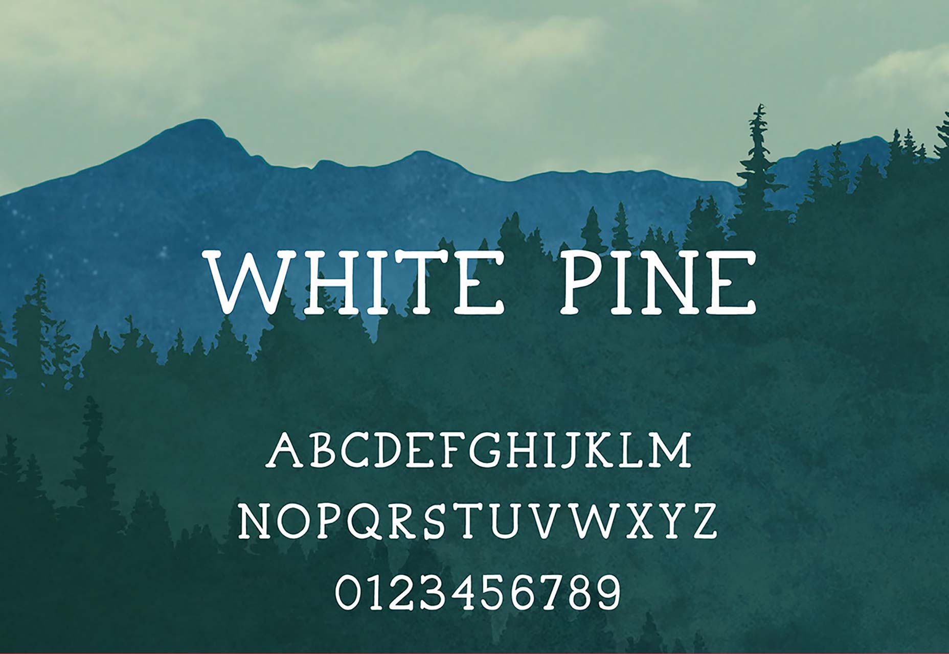 037_white-pine